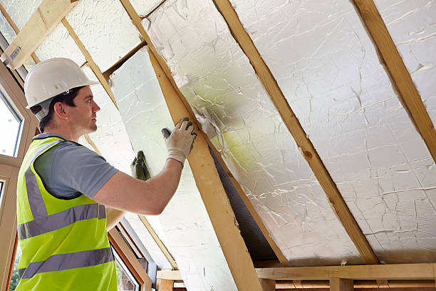Best Geographic-Specific Insulation Services in Battle Ground, IN