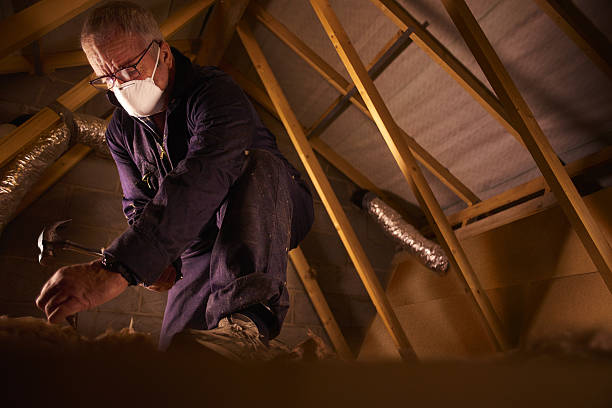 Best Eco-Friendly Insulation in Battle Ground, IN