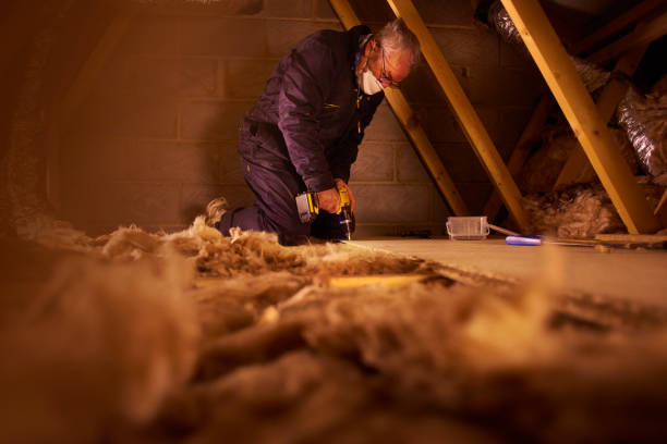 Best Insulation Maintenance and Repair in Battle Ground, IN